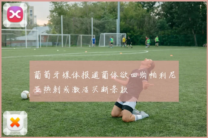 葡萄牙媒体报道葡体欲回购帕利尼亚热刺或激活买断条款